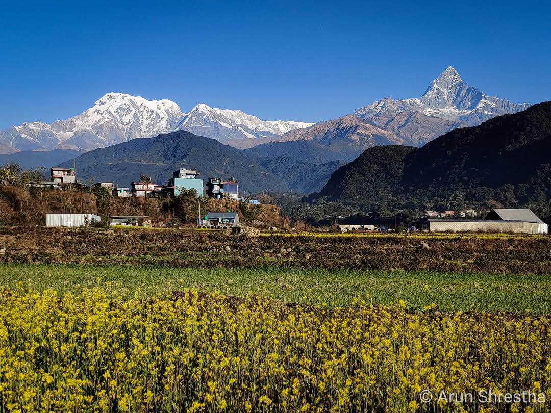 कसैले सोध्यो, "स्वर्ग कहाँ छ?"
मैले आफू उभिएको धरतीको माटो मुठीमा उठाएर भनें, "स्वर्ग मेरो मुठीमा छ!"

शुभ-प्रभात!
शुक्रवार शुभ होस्! 🙏