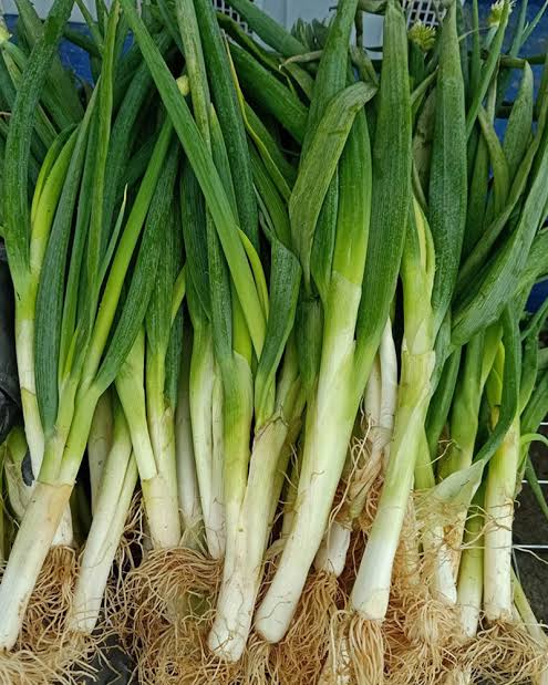 MORADUNNI's tweet image. All vegetables available in painters and packs
Parsley 1000n
Celery 1000n
Leak onions 1000n
Kale 1000n
Raddish 1000n
Rosemary 1000n
Broccoli 🥦 800 per 1
Cauliflower 800 per 1
Cabbage 500 naira
Carrots painter 4500 naira
Location:Jos
Delivery Nationwide
#lockdown Dagrin