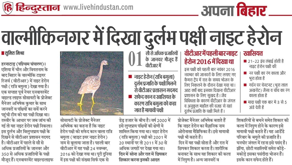 KartikKusum's tweet photo. वाल्मीकिनगर (बिहार) के वीटीआर में दुर्लभ पक्षी 'नाइट हेरोन' (रात्रि बगुला) का दिखना वन्यजीव संरक्षण के लिए बड़ी उपलब्धि है। इसे संरक्षित करने हेतु आवश्यक कदम उठाएं।
@BandanaPreyashi @DEFCCOfficial
#WildlifeConservation #BiharForest https://t.co/EyixDhBfeB