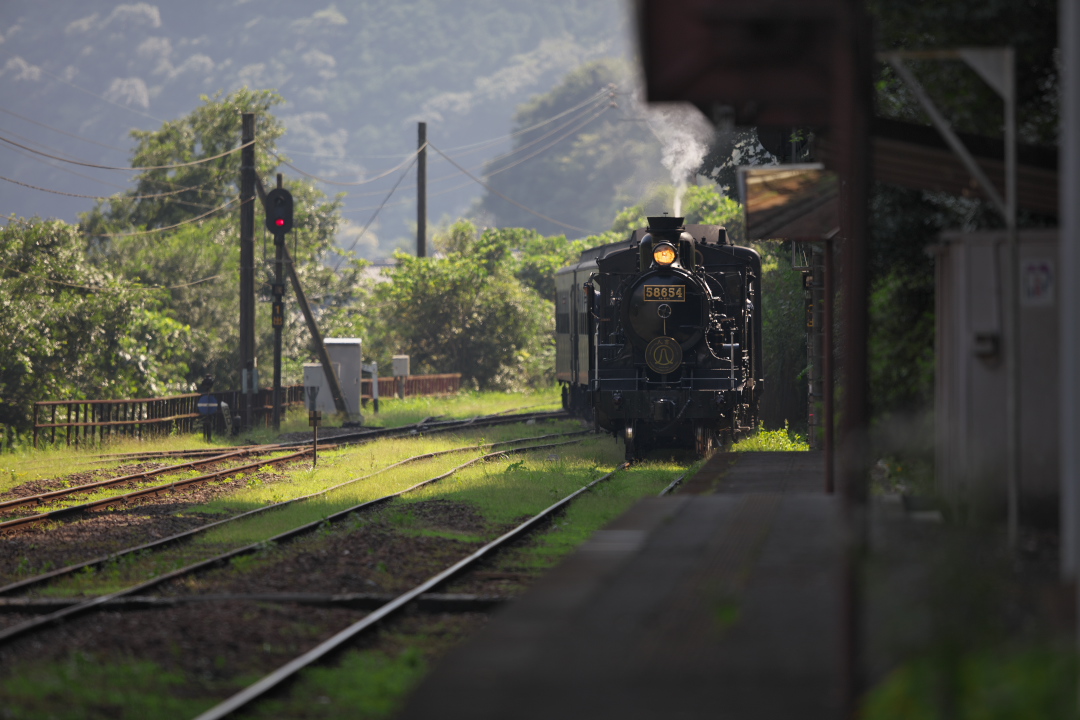MakerunaGoro's tweet photo. 2015.08.02撮影
#肥薩線 #白石駅 。

#SL人吉/#58654号機/#ハチロク/#2番線ホーム/#上り熊本行き/#EOS5DsR/#ヨンニッパ/#SILKYPIX https://t.co/ROH2TAmU1N