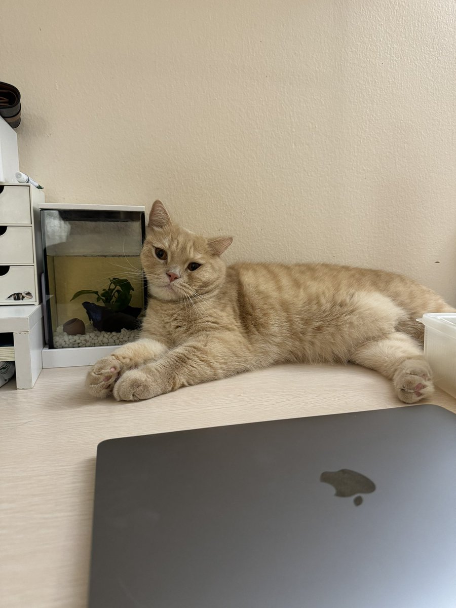 บีมกับน้องๆ tweet media