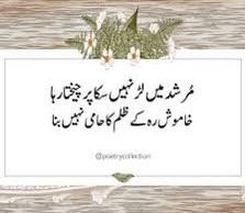 Qureshie tweet media