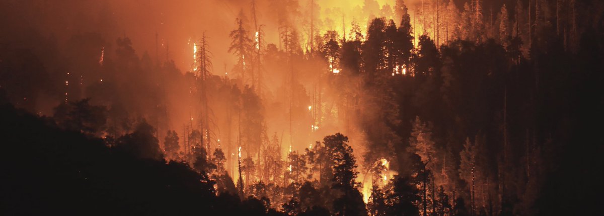 Ne pas tomber dans la facilité du seul #ChangementClimatique dans l'↗️ des #feux à travers le monde. Bcp de maladaptation ont amené les forets et espaces vegetalisés dans l'incapacité d'absorber les nouvelles contraintes du CC. on en parle ici : iris-france.org/wp-content/upl…