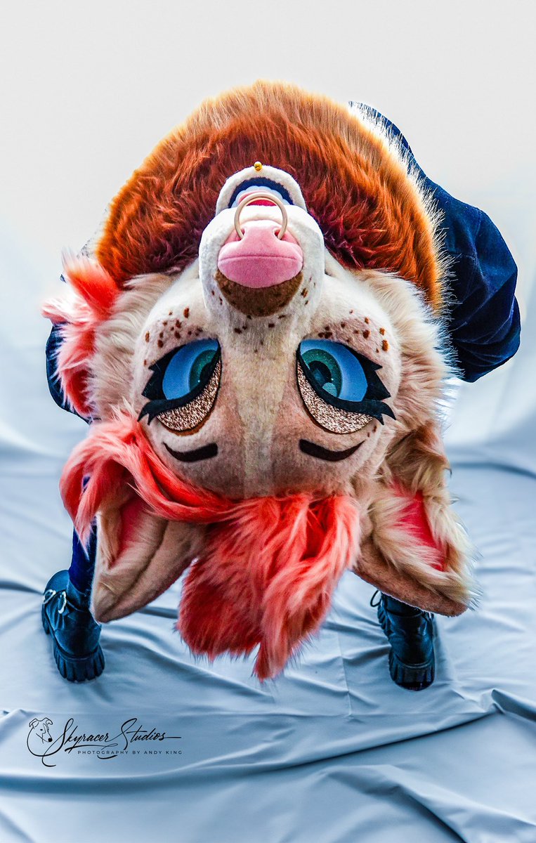 What doing? :3c #FursuitFriday

🪡 <a href="/Fernandfallow/">🌿Fern and Fallow𐂂</a> 
📸 Skyracer Studios (link in comments!)