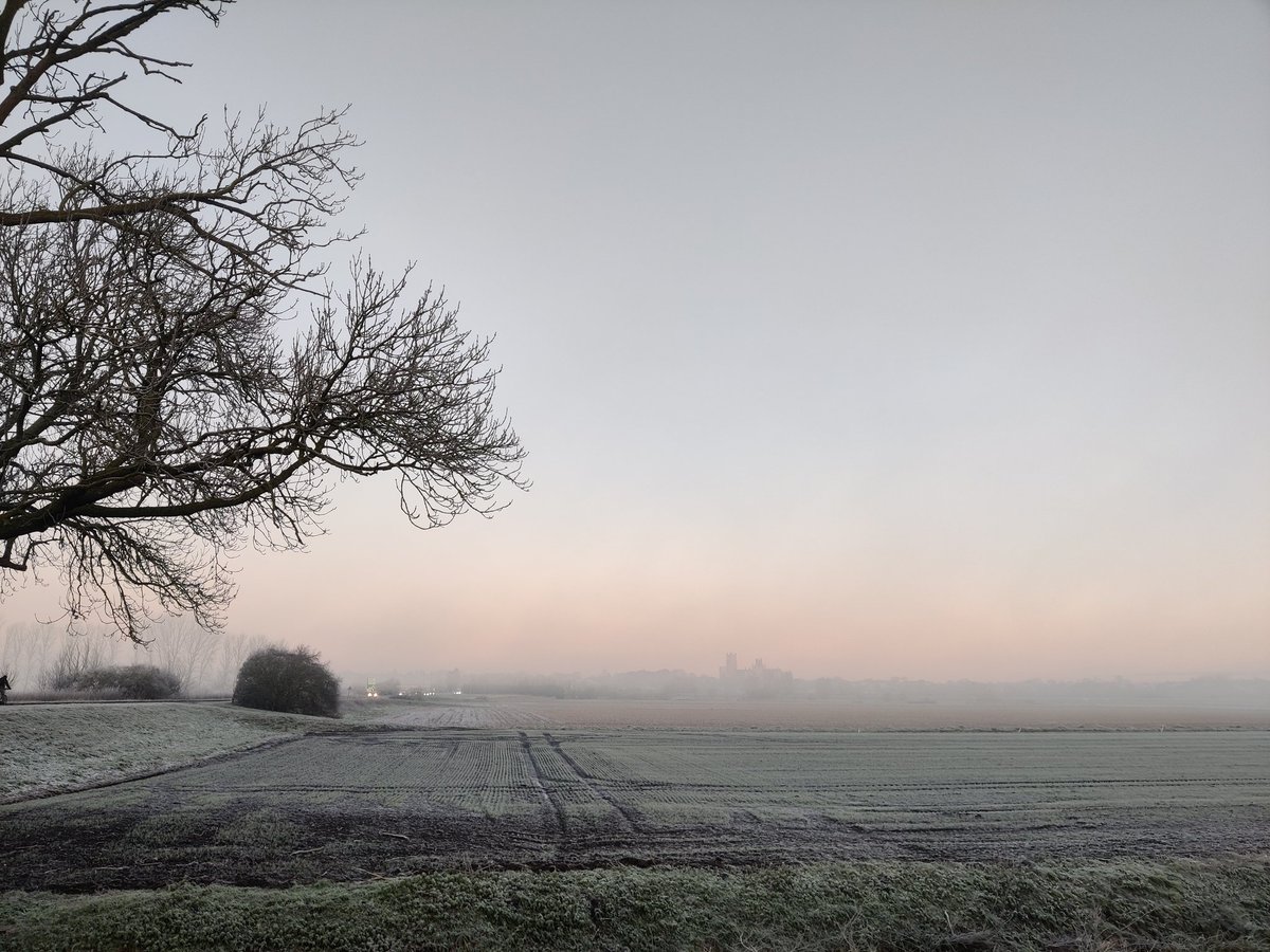 Neil Featherstone tweet media