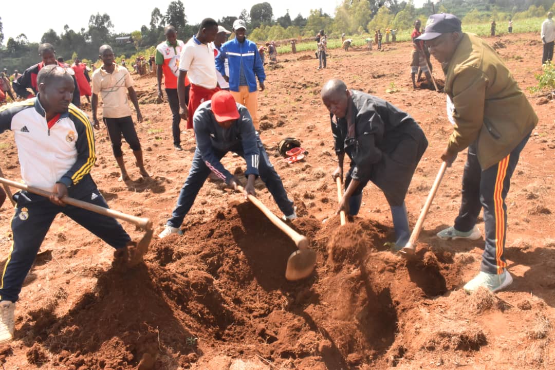 Province_Bururi's tweet photo. Mu ntumbero yo gushira mu ngiro intumbero y'umushikiranganji wa @MininterInfosBi yuko Komine yose yotegura itongo n'iburiburi rya 3 ha iteramwo igiterwa c'ivoka;kuri uyu wa 09/1/2025 harimbwe ibinogo vyo guteramwo amavoka kumutumba Vyuya muri Komine #Mugamba mw'itongo rya 8ha. 1/ https://t.co/pQ0BJSbCW3