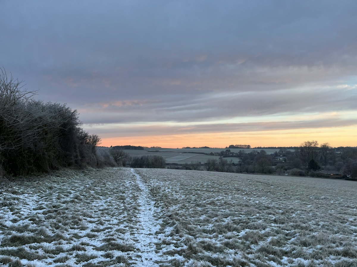 Laura Lerwill tweet media