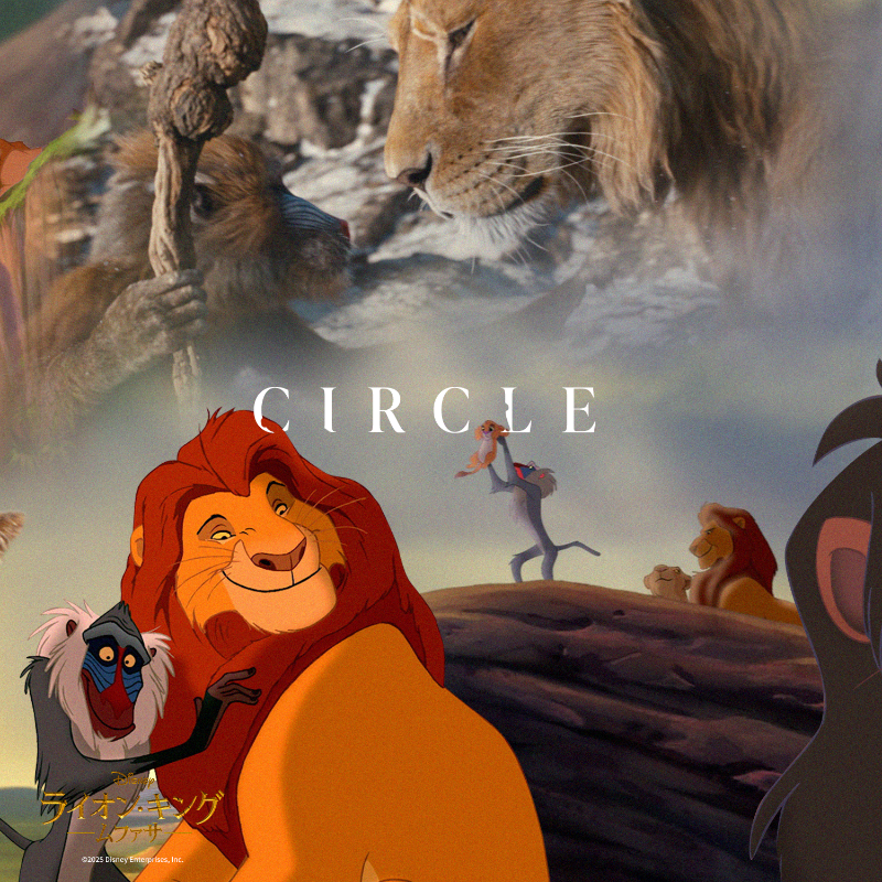 disneystudiojp's tweet photo. ⠀𝐓𝐇𝐄 𝐂𝐈𝐑𝐂𝐋𝐄 𝐎𝐅 𝐋𝐈𝐅𝐄
━━━━━━━━━━━━
⠀ サークル・オブ・ライフ

“キング・オブ・エンターテイメント”は
いつまでも──

『#ライオンキングムファサ』
大ヒット上映中🎬
