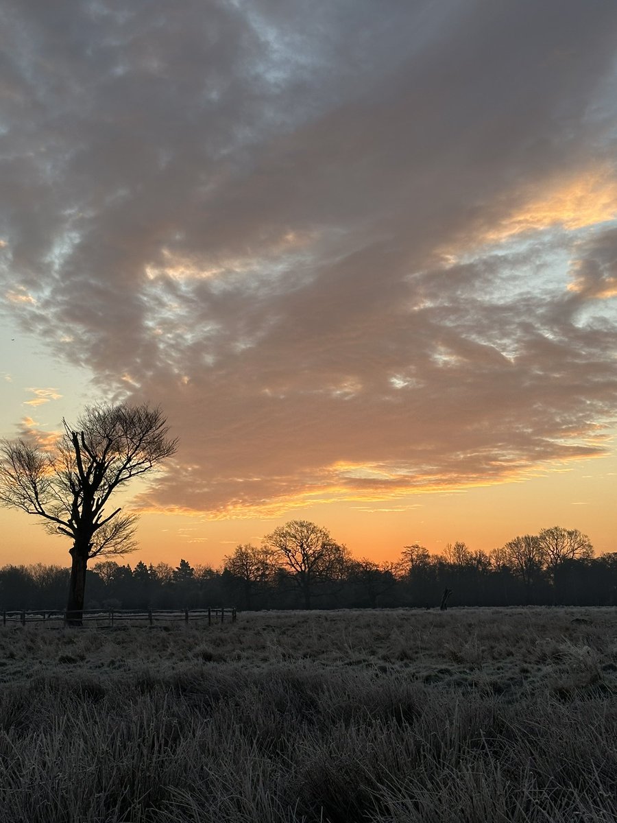 More lovely sunrise pics from <a href="/theroyalparks/">The Royal Parks</a> Bushy Park, Teddington