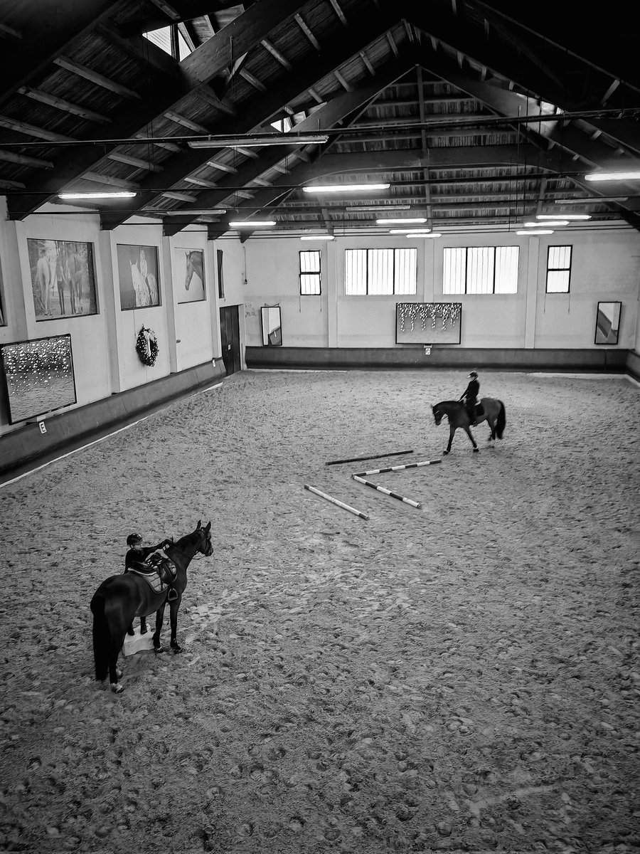 Untitled (ZG2025)
#photo #equestrian #equestriancentre #Croatia #zapresic #blackandwhitephoto #bnw #bw #photograghy #photograph #Fotografía #FOTOS