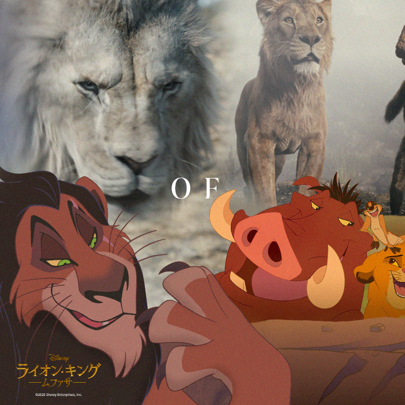 disneystudiojp's tweet photo. ⠀𝐓𝐇𝐄 𝐂𝐈𝐑𝐂𝐋𝐄 𝐎𝐅 𝐋𝐈𝐅𝐄
━━━━━━━━━━━━
⠀ サークル・オブ・ライフ

“キング・オブ・エンターテイメント”は
いつまでも──

『#ライオンキングムファサ』
大ヒット上映中🎬