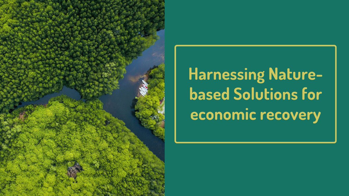 weADAPT (@weadapt1) on Twitter photo 🌱 Investing in Nature-Based Solutions (NbS) = smarter economies + resilient ecosystems.
Explore how NbS can drive #EconomicRecovery while tackling #ClimateChange in this <a href="/UniofOxford/">University of Oxford</a> article:
bit.ly/3W7Uyy8
#NatureBasedSolutions #Sustainability #GreenEconomy 🌱 Investing in Nature-Based Solutions (NbS) = smarter economies + resilient ecosystems.
Explore how NbS can drive #EconomicRecovery while tackling #ClimateChange in this <a href="/UniofOxford/">University of Oxford</a> article:
bit.ly/3W7Uyy8
#NatureBasedSolutions #Sustainability #GreenEconomy