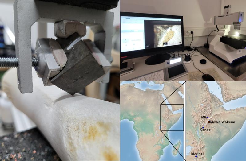 Informationsdienst Wissenschaft - Nachrichten (@idw_online_de) on Twitter photo 1.5 million years ago, early humans in the Ethiopian highlands carefully selected stones for their tools based on durability & function. Modern tech from the <a href="/TraCErMONREPOS/">Laboratory Traceology and Controlled Experiments</a> proves these choices were no coincidence! #Archaeology <a href="/le/">elly</a>
nachrichten.idw-online.de/2025/01/10/too… 1.5 million years ago, early humans in the Ethiopian highlands carefully selected stones for their tools based on durability & function. Modern tech from the <a href="/TraCErMONREPOS/">Laboratory Traceology and Controlled Experiments</a> proves these choices were no coincidence! #Archaeology <a href="/le/">elly</a>
nachrichten.idw-online.de/2025/01/10/too…