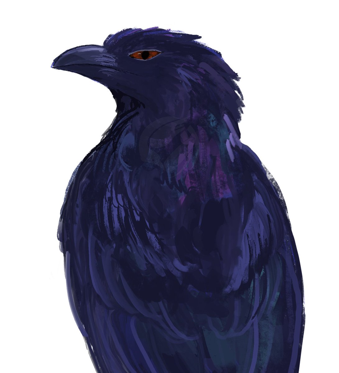 烏羽 仁🦤 (@tukimi_088) on Twitter photo 