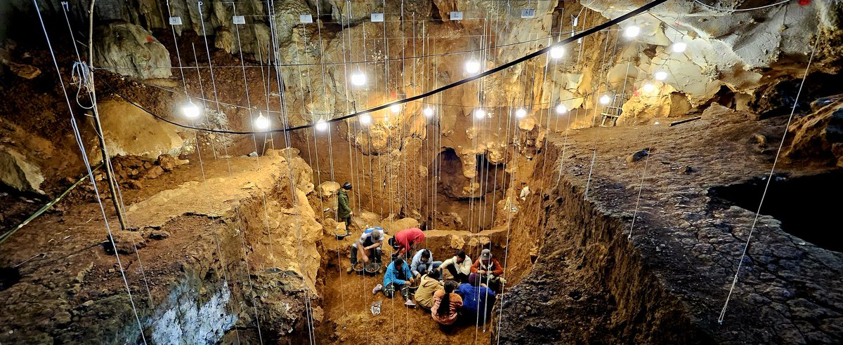 Fabrice Demeter tweet media