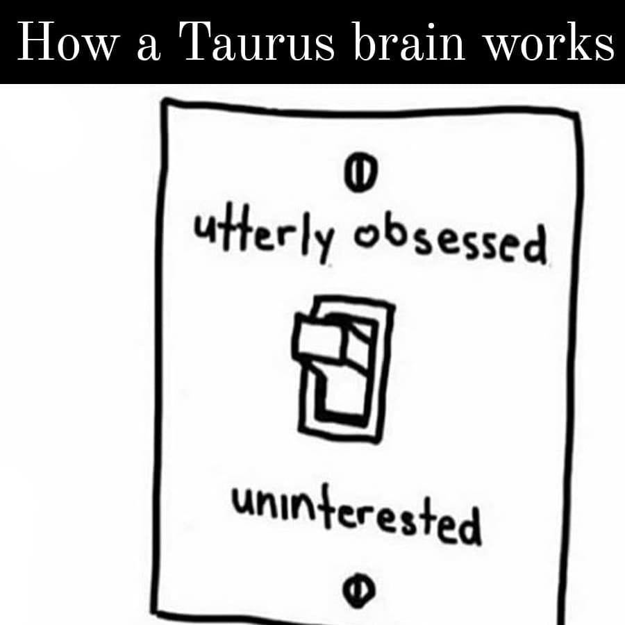 #Taurus Life