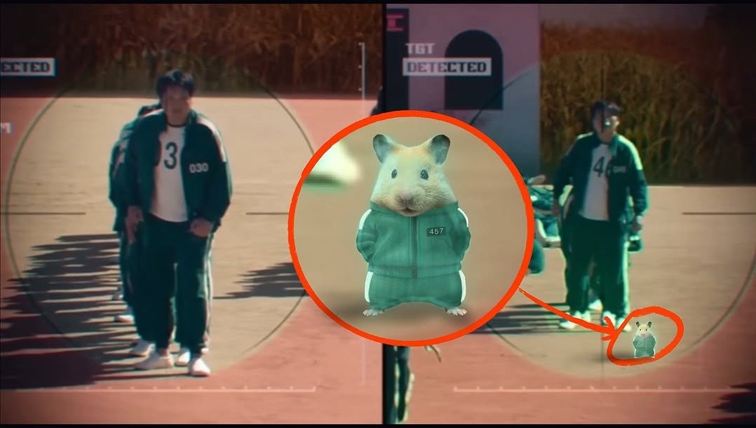 TweetsOfHamster's tweet photo. https://t.co/RE48gvmMYo