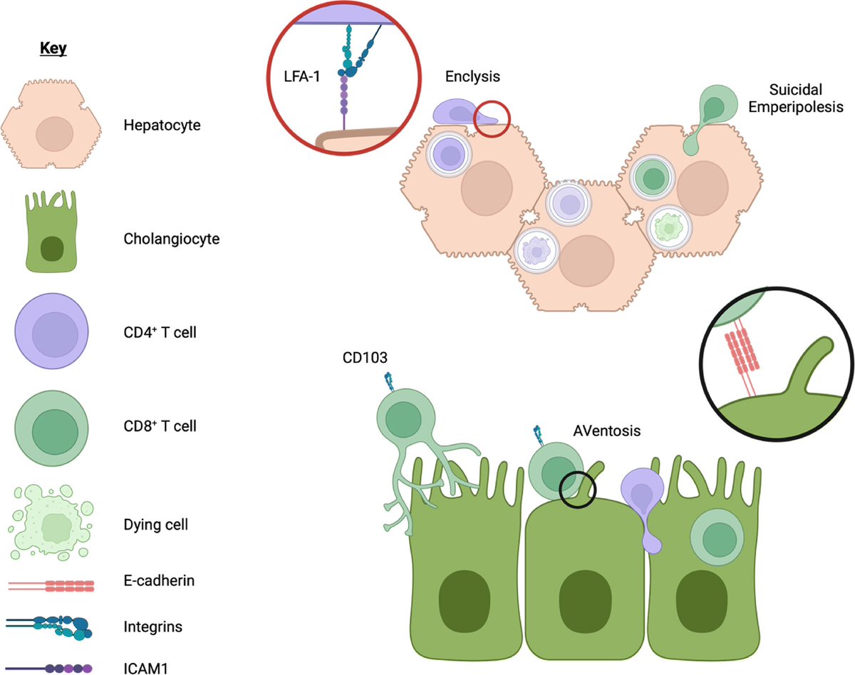 Dr Scott P Davies tweet media