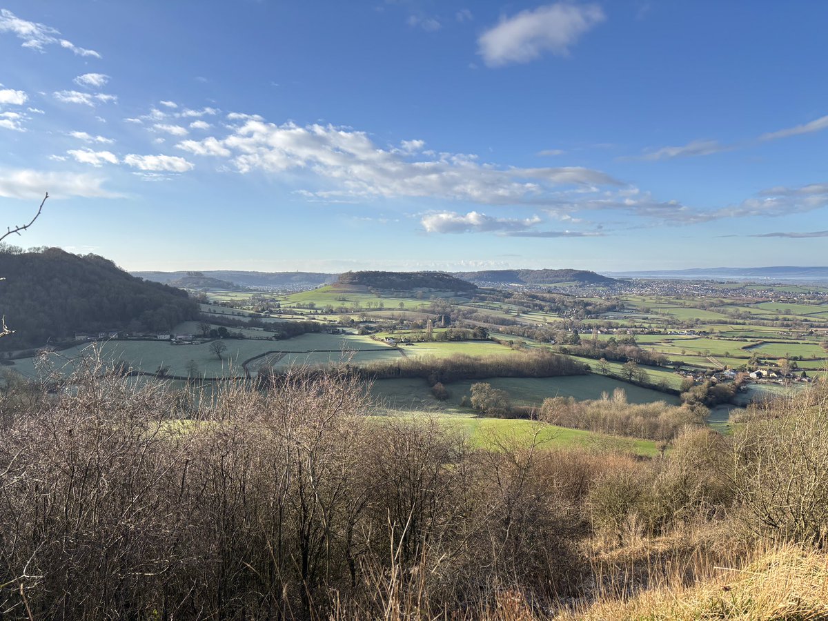 Susan Jones tweet media