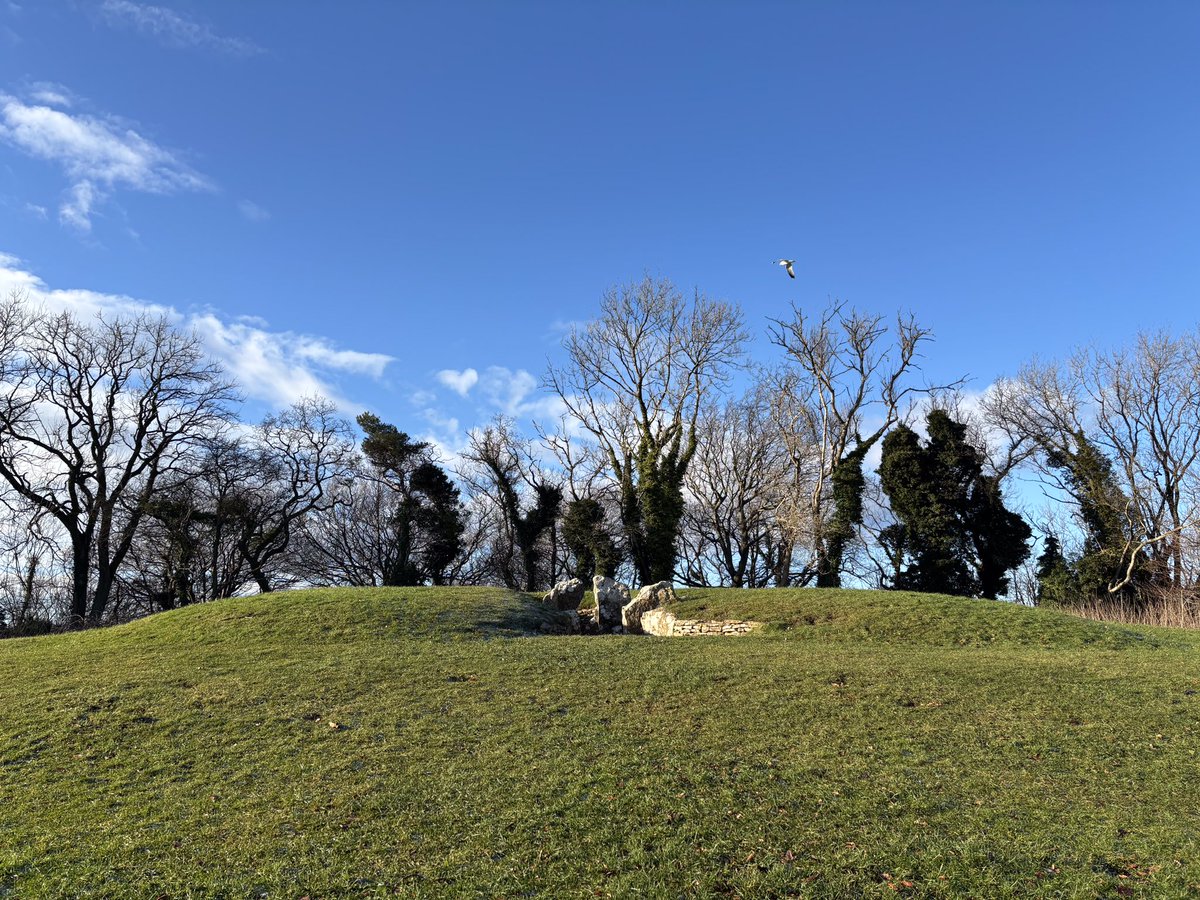 Susan Jones tweet media