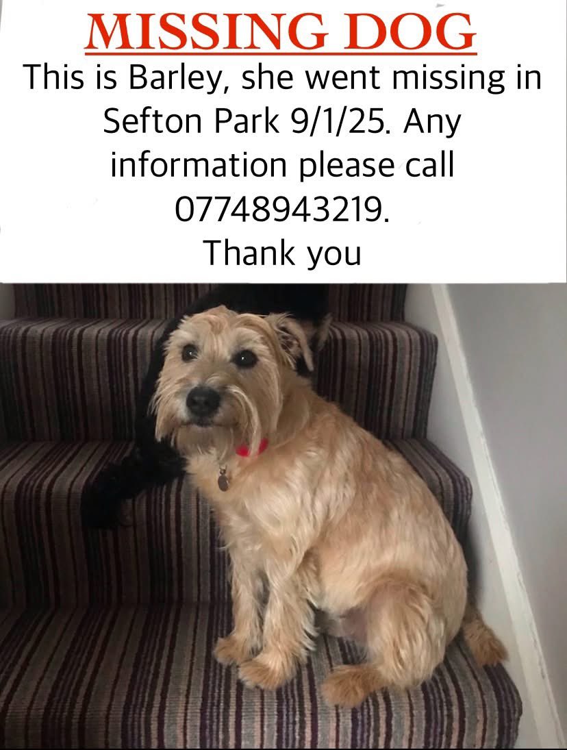 This is breaking my heart today… she ran off yesterday, and is still missing. Sefton Park, South Liverpool area last seen… 

She’s 13 years old and it’s -3 outside 💔

Please help find her!