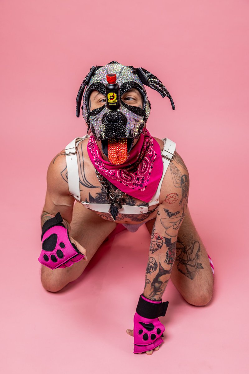 PupBolt13's tweet photo. Order your favorite Pupper tape cleaner straight to your door with @ShopNeverNeedIt 😋
📸 @Manuel89tx https://t.co/lJPQ7fWq44