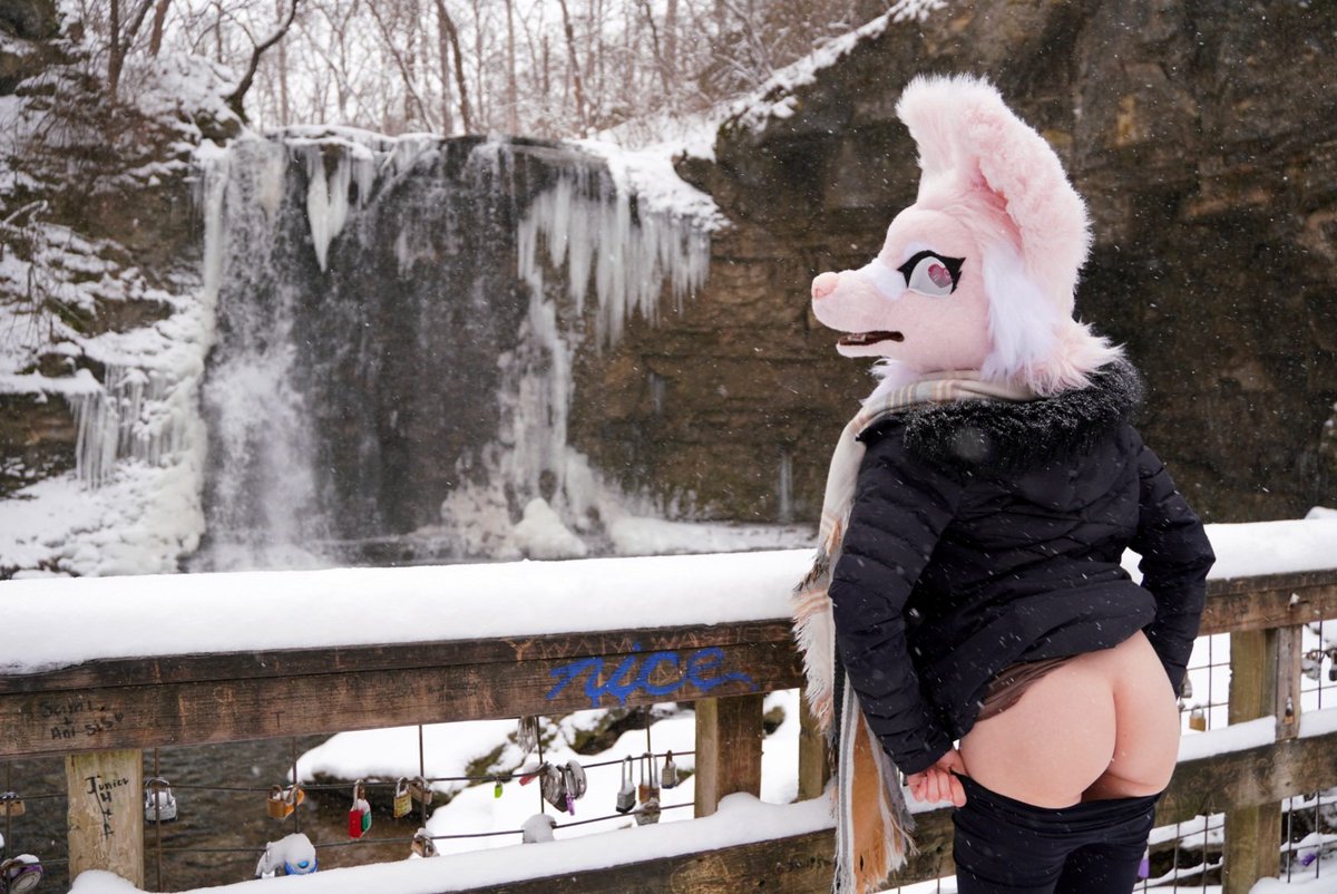 Wyd if you stumble upon a fox girl undressing in the wild 😳?!