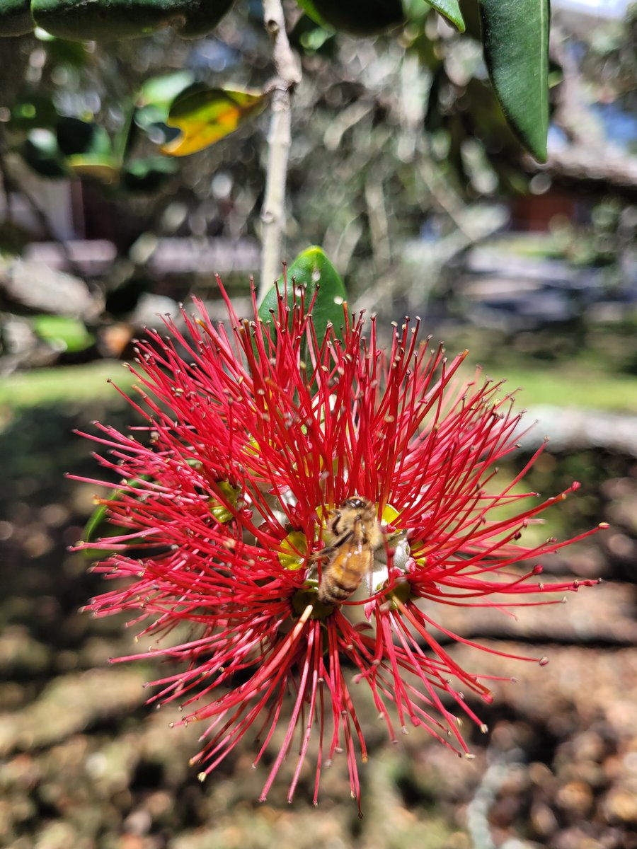 Soon Lee tweet media