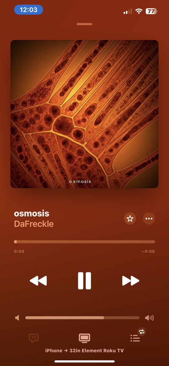 dafreckle_'s tweet photo. osmosis out everywhere RN 🔥🔥🔥🔥 https://t.co/GFmiBwQoIX