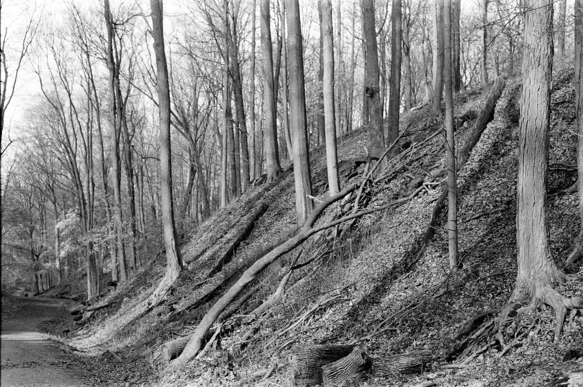 Kevaclysm's tweet image. Gonna shoot more black and white film this year