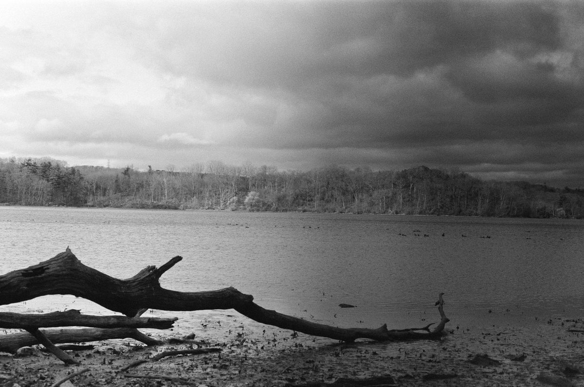 Kevaclysm's tweet image. Gonna shoot more black and white film this year