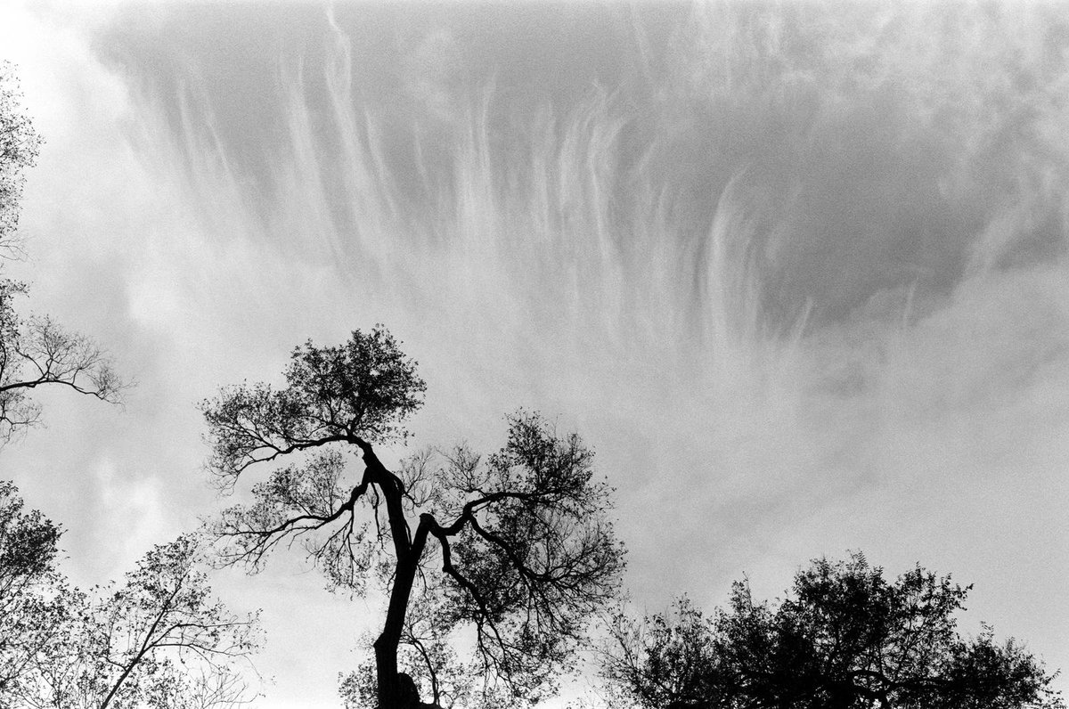 Kevaclysm's tweet image. Gonna shoot more black and white film this year