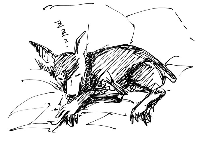 享年19歳でした
がんばった
お疲れ 