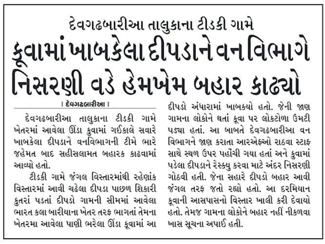 DCFBaria tweet media