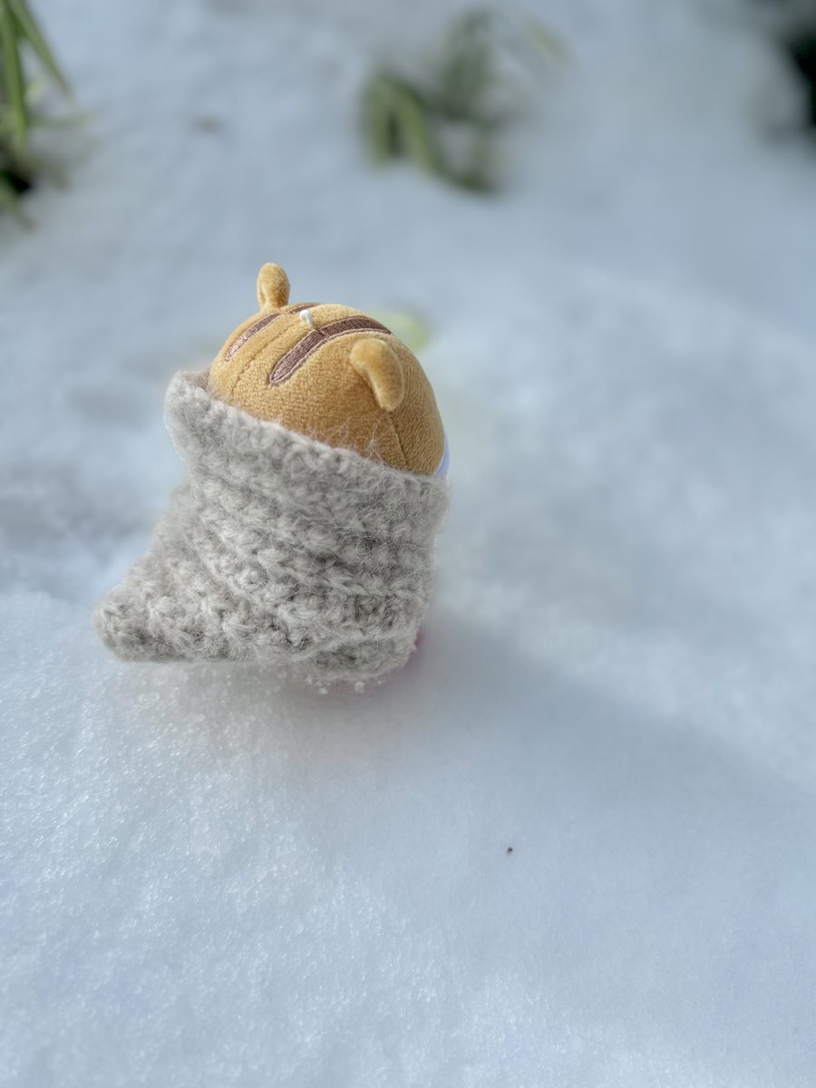 yoritiny's tweet image. 쭝라미야 눈이야