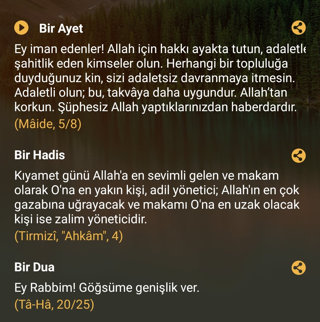 Muhammet Odabaş (@muhammetodabas) on Twitter photo 