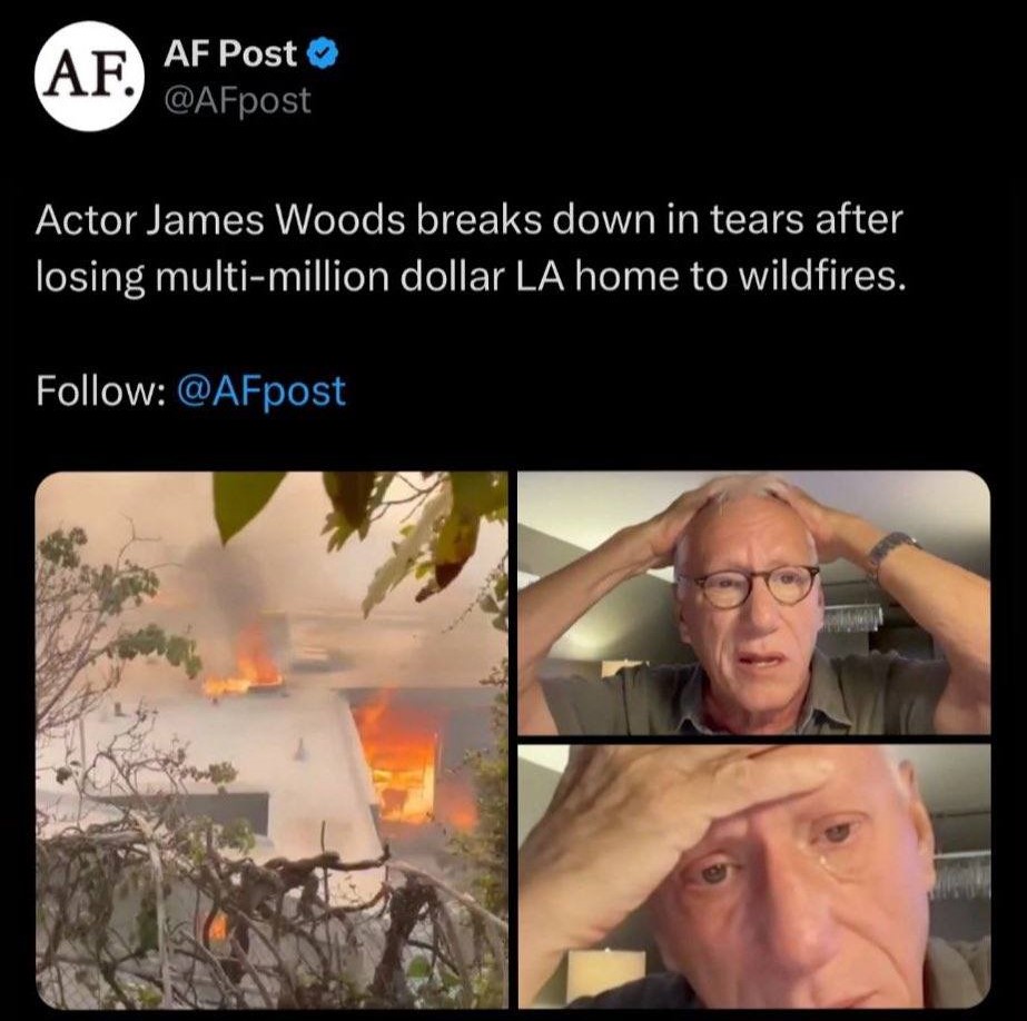 Muslims Posting Their W's tweet media