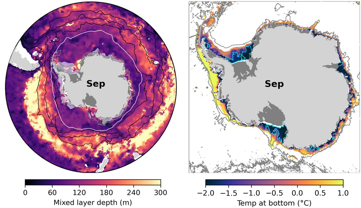 Kaihe Yamazaki 🌊❄️ tweet media