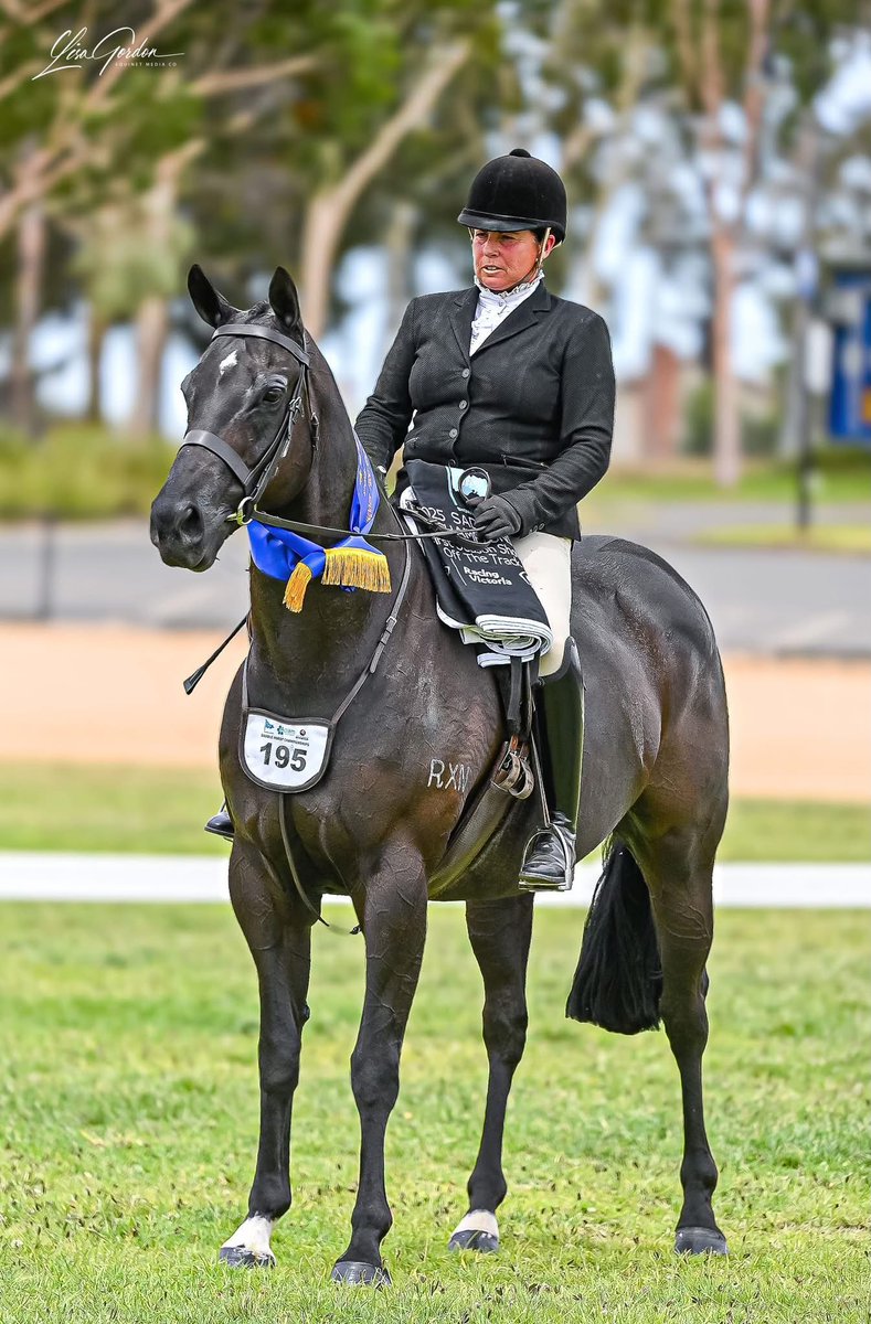 Fiona McIntyre (@thefifi) on Twitter photo The baby of the team exceeded expectations at The Victorian Saddle Horse Championships.
⭐️Winner Off The Track First Season Show Hunter
⭐️Winner Off The Track Show Hunter Rising Star
⭐️ 4th Racing Victoria Off The Track Show Hunter State Final
<a href="/PriceBloodstock/">Price Bloodstock</a> The baby of the team exceeded expectations at The Victorian Saddle Horse Championships.
⭐️Winner Off The Track First Season Show Hunter
⭐️Winner Off The Track Show Hunter Rising Star
⭐️ 4th Racing Victoria Off The Track Show Hunter State Final
<a href="/PriceBloodstock/">Price Bloodstock</a>