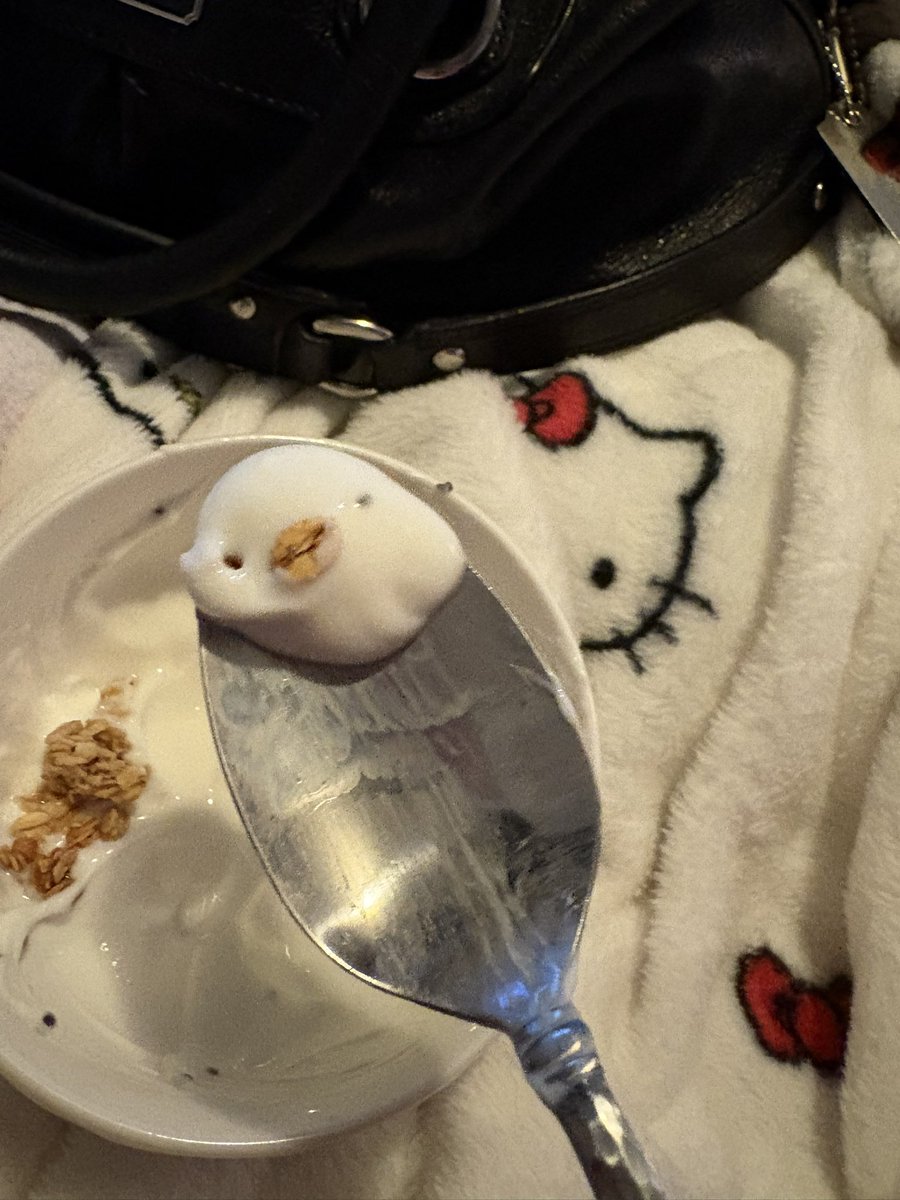 33vi3lmao's tweet photo. my yogurt looks like a duck https://t.co/MNWySb6dDA
