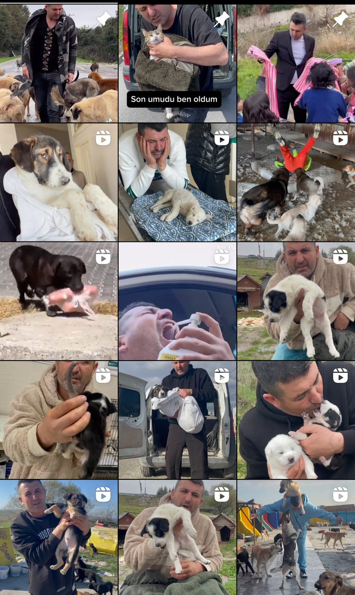 Found this guy on instagram helping and saving thousands of stray animals, decided to send him €1000, I think everyone who honestly cares about animals should help this man out!

iyilikyap_gunes 🩵