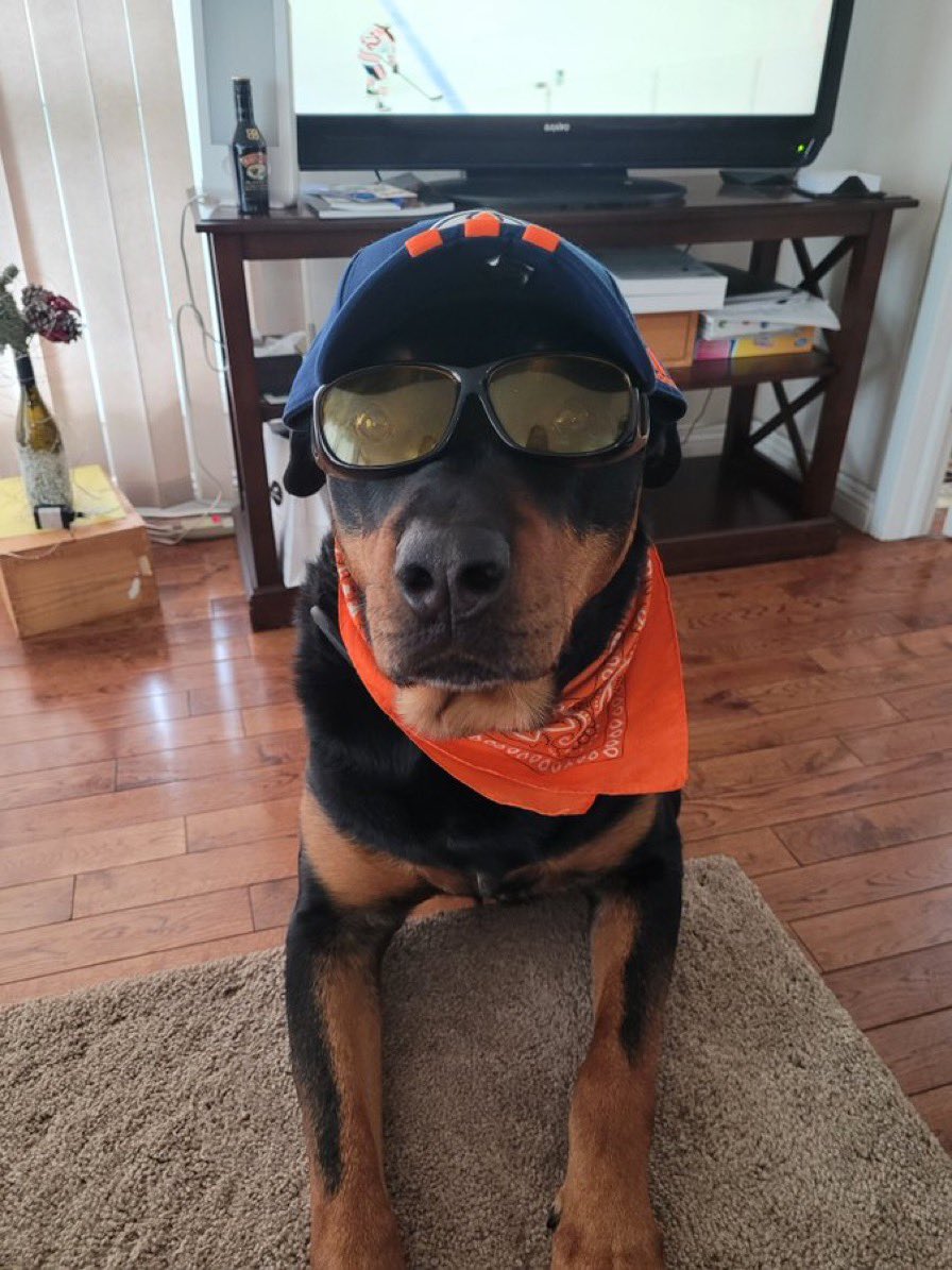 SweetLuLu (@sweetlu64440015) on Twitter photo Dear <a href="/EdmontonOilers/">Edmonton Oilers</a> oilers,
Please consider this wonderful idea to acknowledge your #1 Fan! Dear <a href="/EdmontonOilers/">Edmonton Oilers</a> oilers,
Please consider this wonderful idea to acknowledge your #1 Fan!
