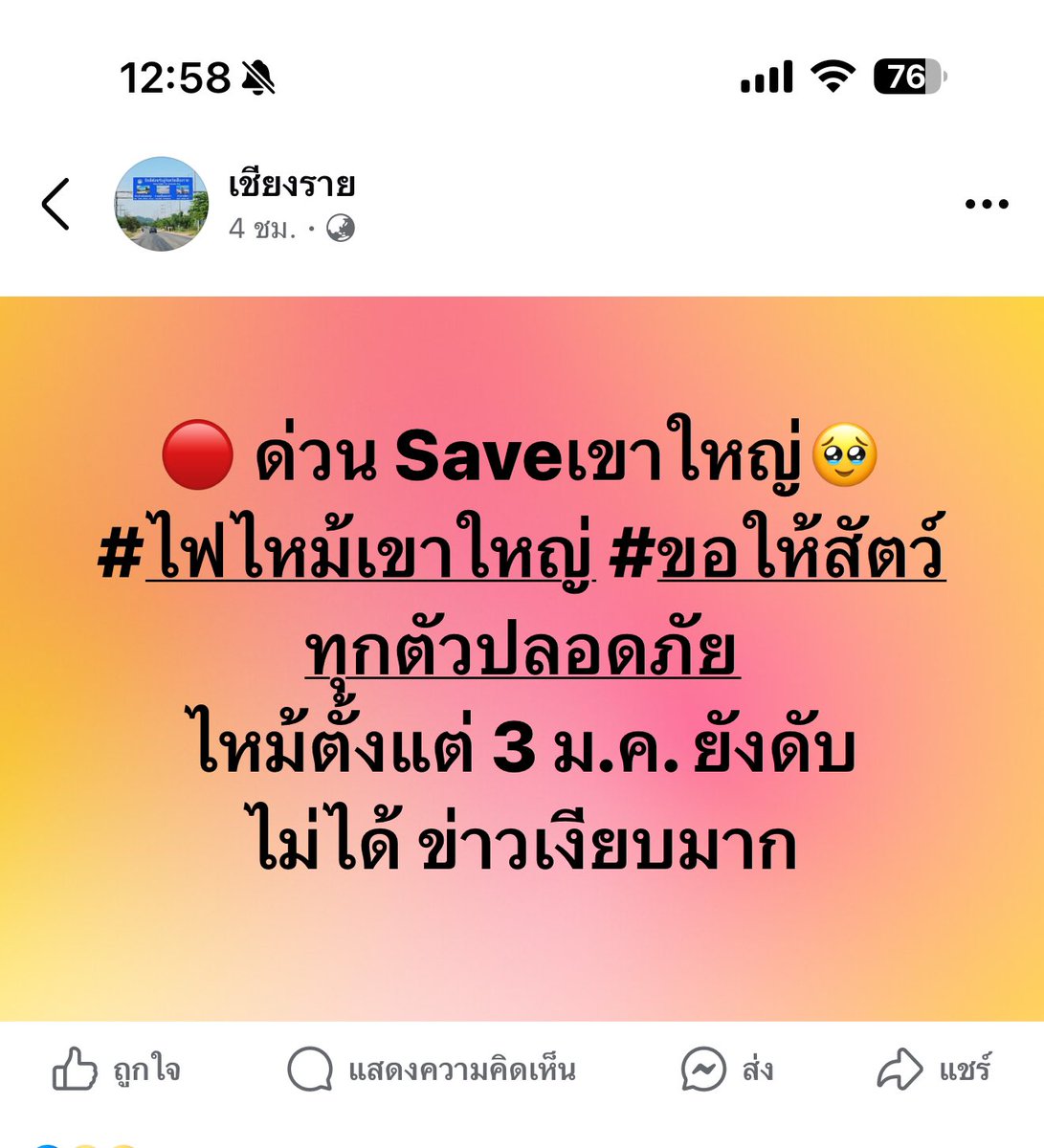 MTBB 🎀❤️🐊🐍 tweet media