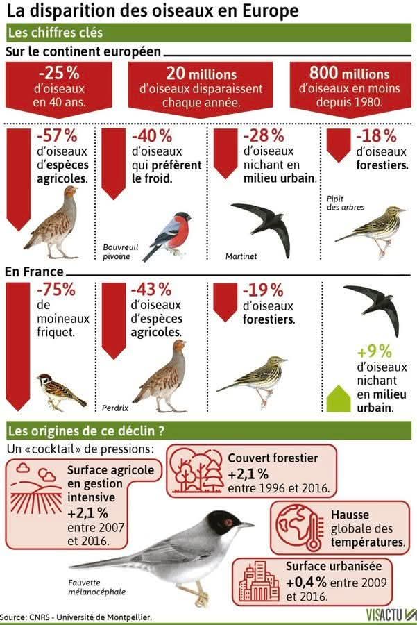 ➡️ Printemps silencieux...