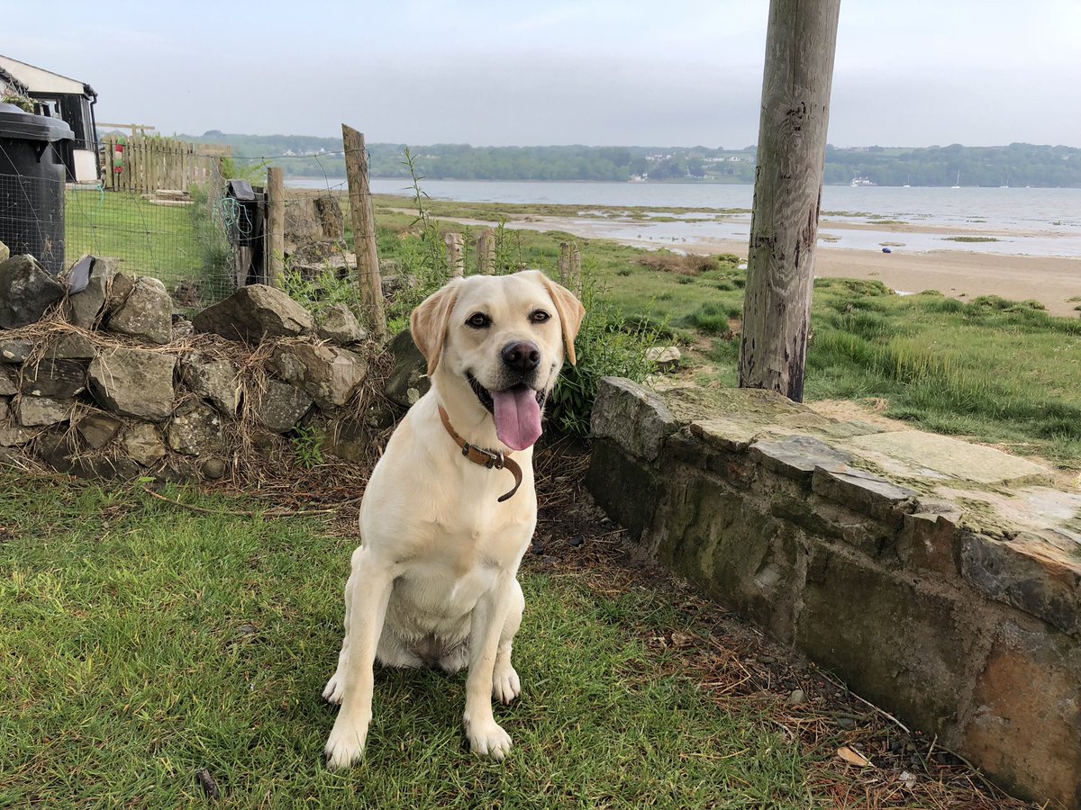 Helen Ball tweet media