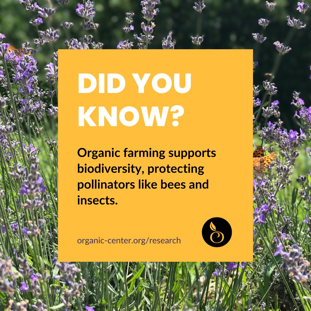 Did you know? Organic farming supports biodiversity, protecting pollinators like bees. 🐝 Explore the science behind organic at organic-center.org/research.