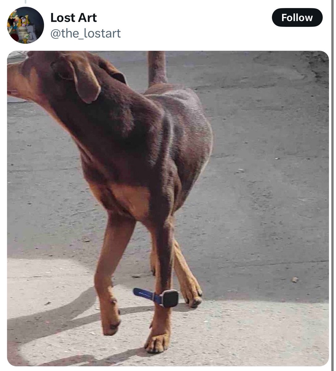 the_marcoliboy's tweet image. huh😂