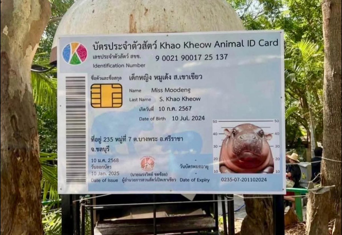 สวนสัตว์เปิดเขาเขียว Khao Kheow Open Zoo tweet media