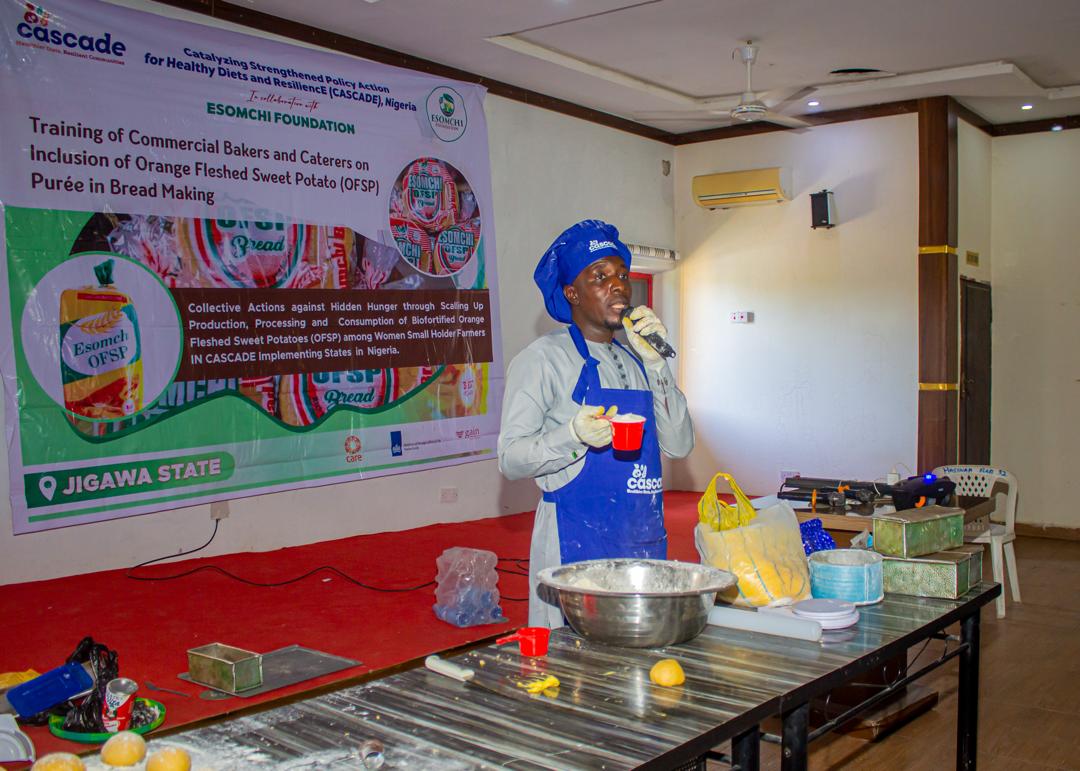 🌻Bringing more nutrition to the plates of families in Jigawa State🌻

Through the CASCADE project, on the 13th Dec, 2024 at Hasinah Confectionery &amp; Restaurant, Jigawa State, we provided comprehensive training to commercial bakers &amp; caterers on the inclusion of OFSP puree...