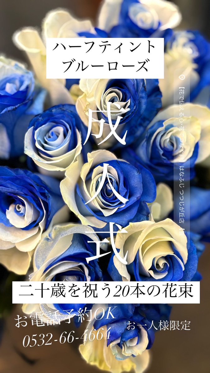 ブルーローズ様① 【公式通販】